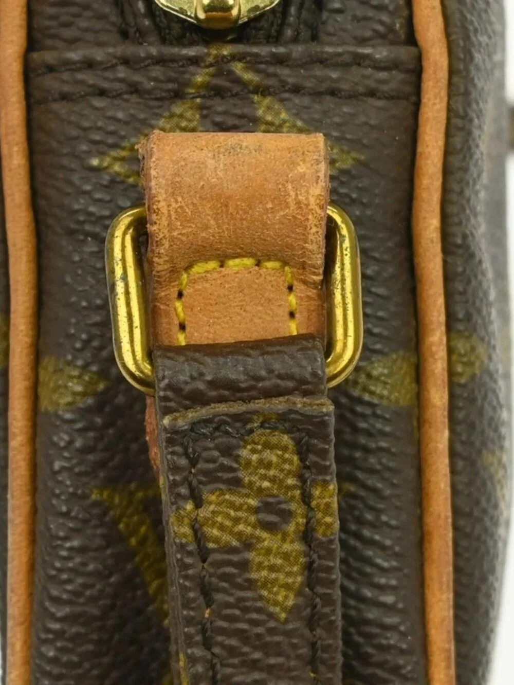 Louis Vuitton Monogram Mini Danube Shoulder Bag - Picture 8 of 16